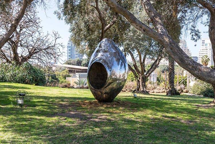 נובויה ימגוצ׳י. צילום: אלעד שריג