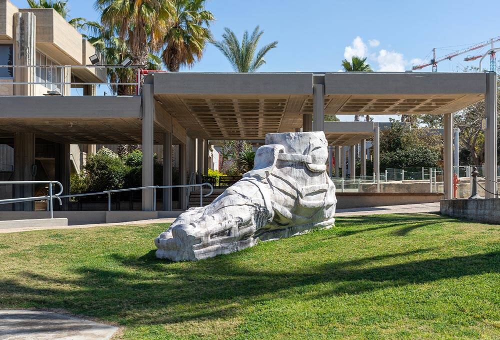 סשה סרבר. צילום: אלעד שריג