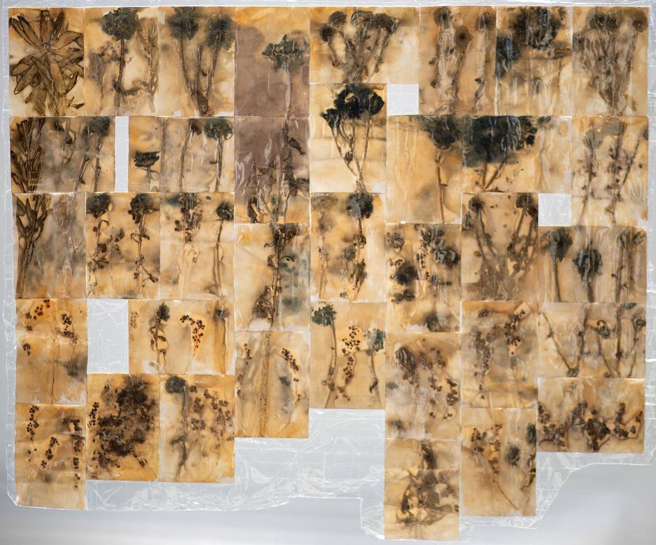 לירון פין, פרחים של חלודה. צילומים: מ״ל