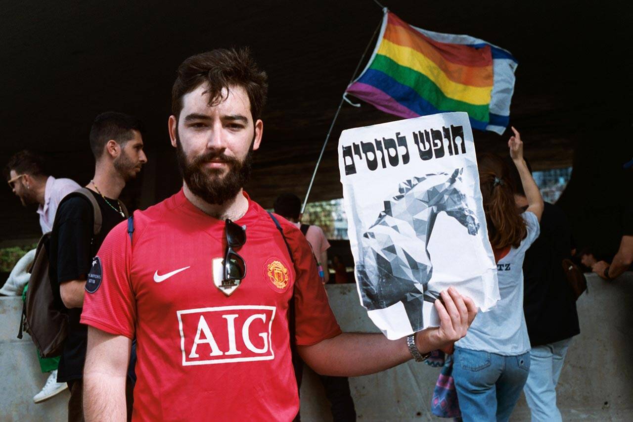 צילום: אלכס פרפורי