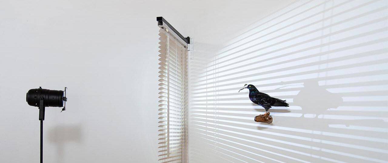 עמרי הרמלין מתןך ״סוף חי״. צילום: אייל אגיבייב