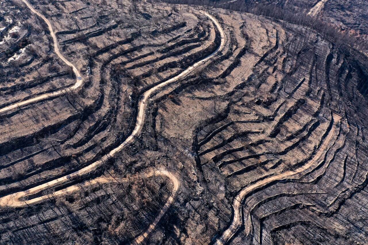 תגית כלימור, שרפה בהרי ירושלים (הפעלת רחפן: ליאור פתאל)