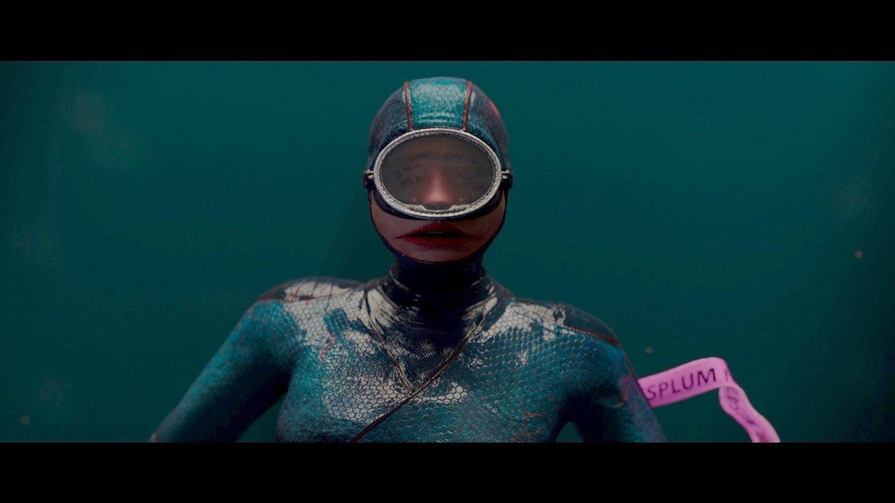 מתוך WILD SUMMON