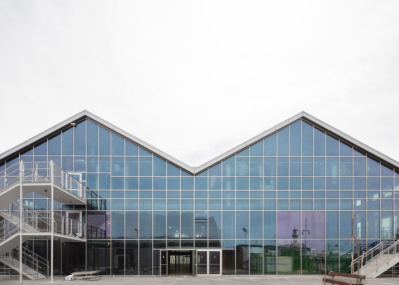 צילום: אביעד בר נס