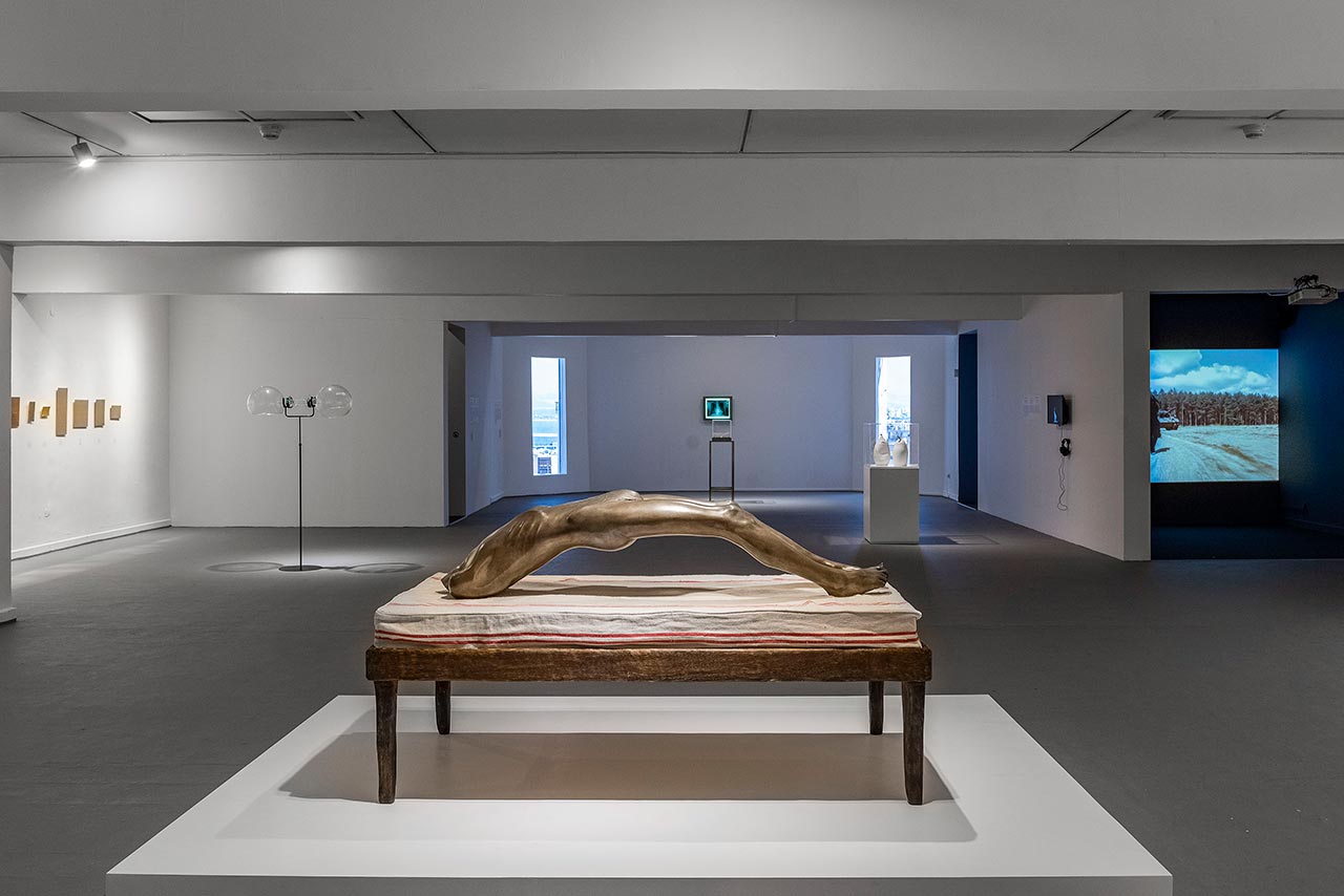 לואיז בורז׳ואה. צילום: אלי פוזנר