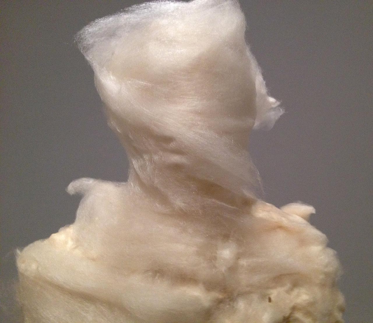 Sweet Girl (Mel), Sweet Boy (Chris), 2001, Zachęta National Gallery, Warsaw