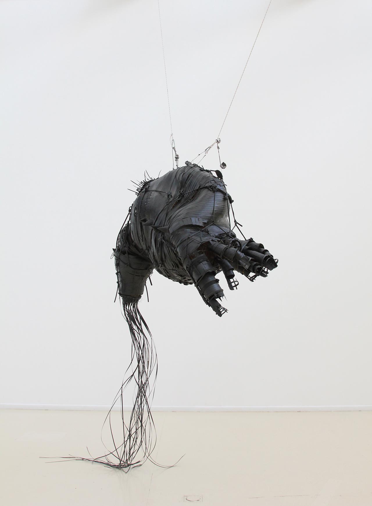 אבינועם שטרנהיים, Black horse. צילום: מ״ל