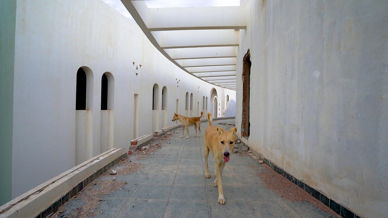 שלומי יוסף, אזהרת מסע