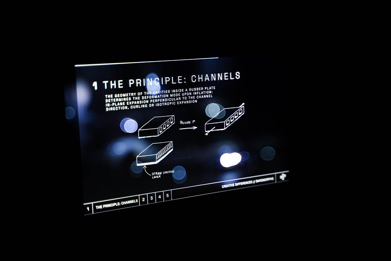 אנימציה המסבירה על המוצגים השונים