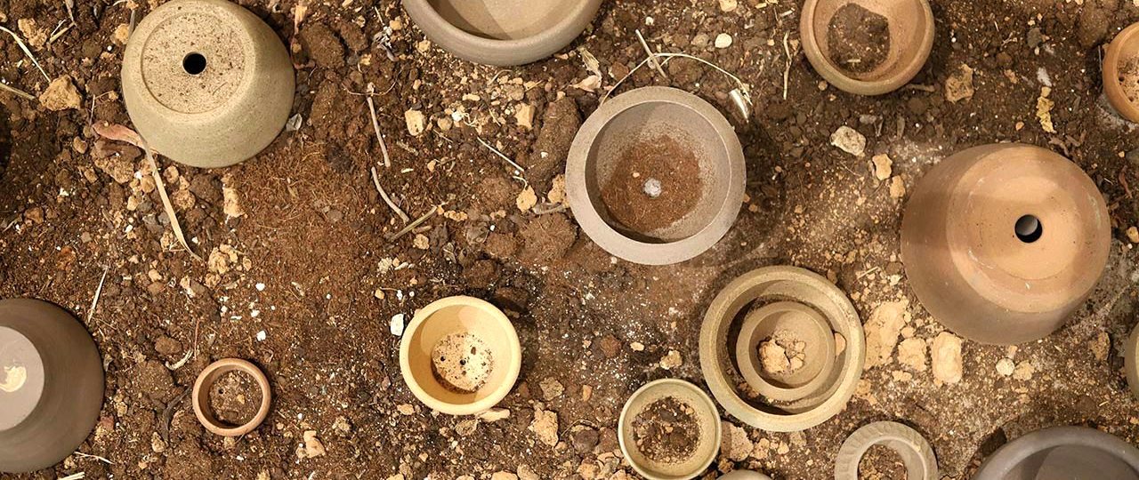 נעה שכטר, בית. צילומים: אודיה ציון פלאם