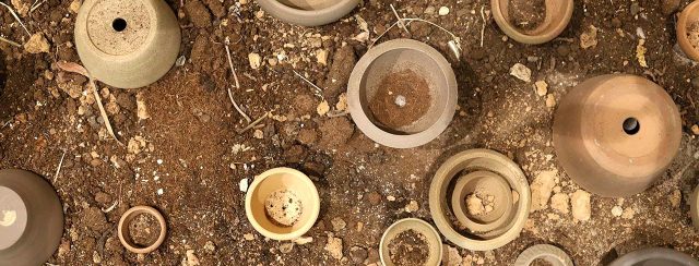נעה שכטר, בית. צילומים: אודיה ציון פלאם