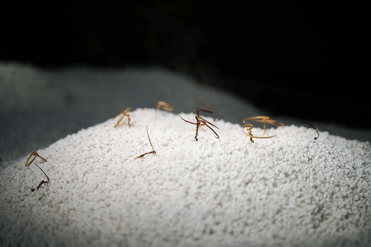 מנשאי הזרעים המלאכותיים