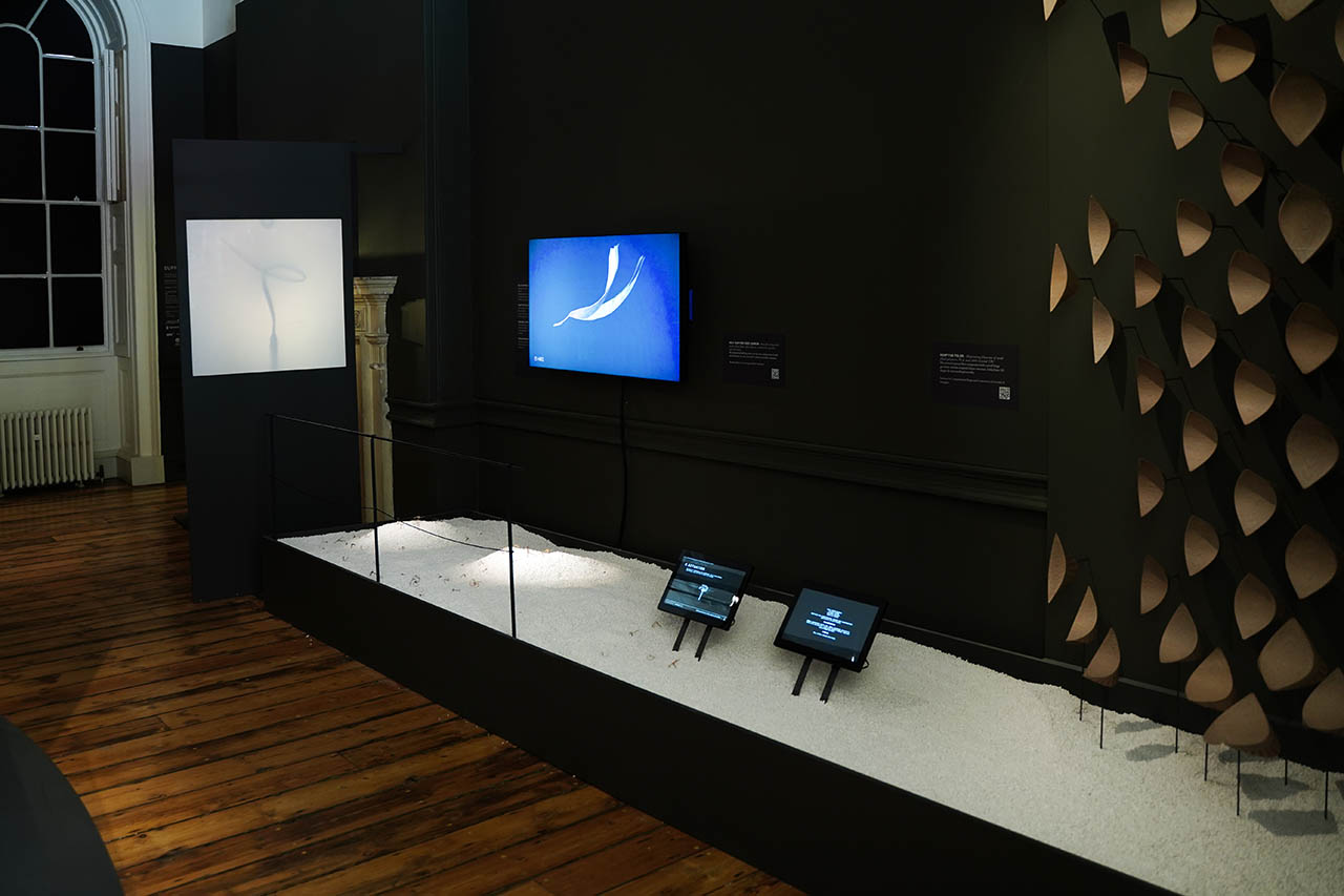 סביבת השדה. צילומים: ליהיא ברגר