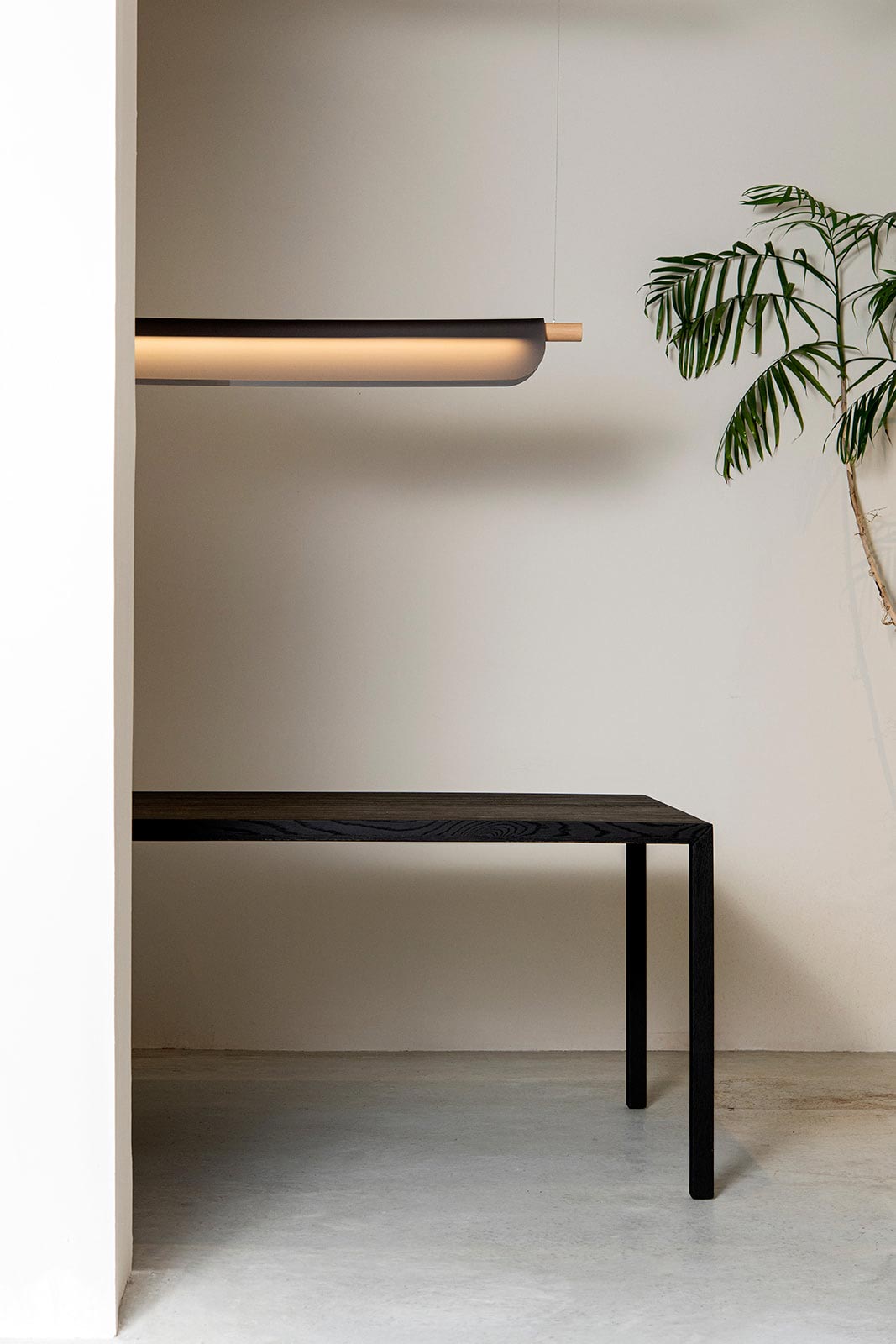 Olive. צילום: איה וינד