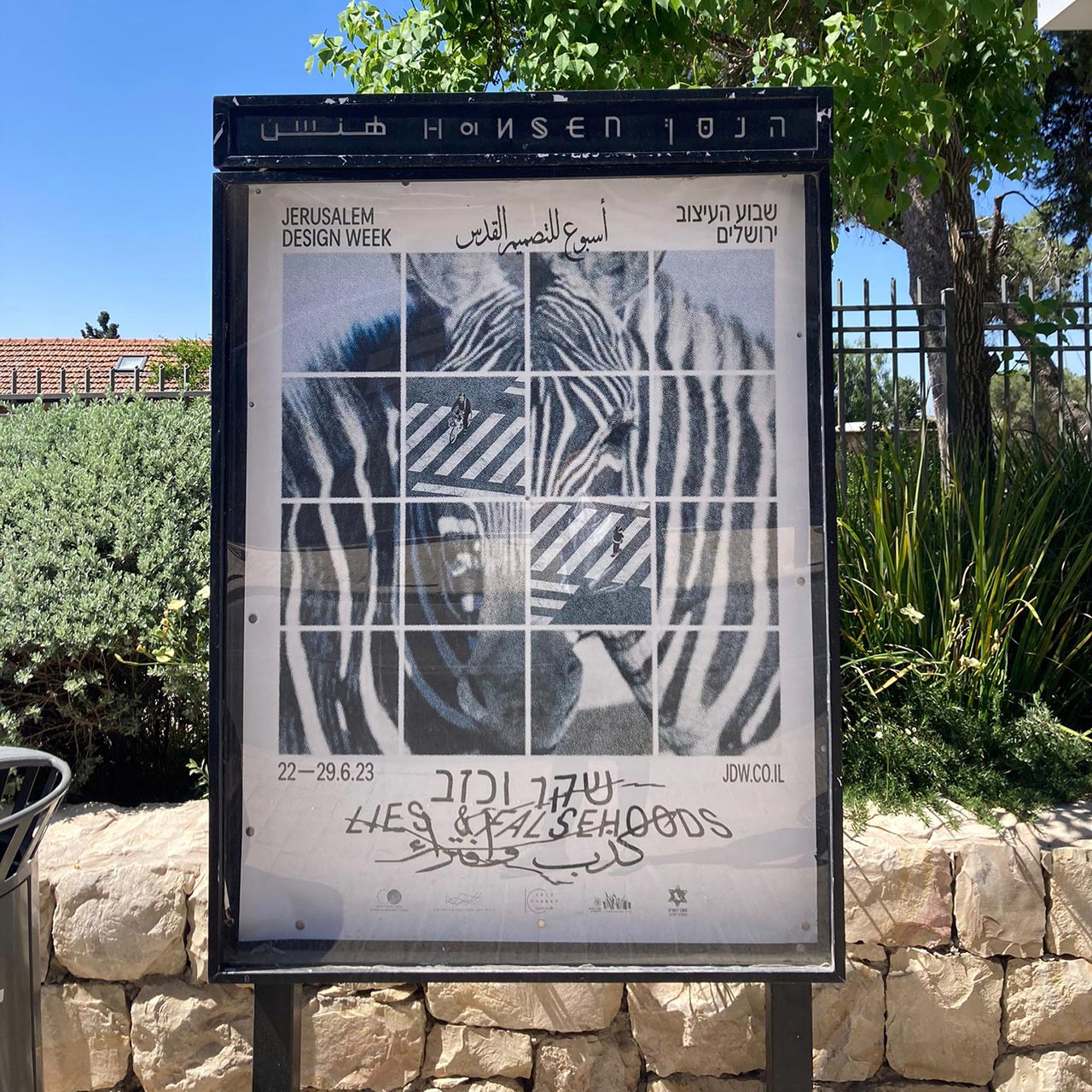 צילום: קארין שבתאי