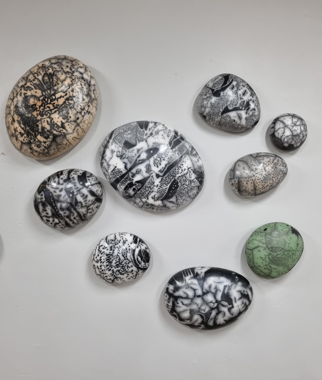 שיאן רוז בן סירה. צילומים: מ״ל