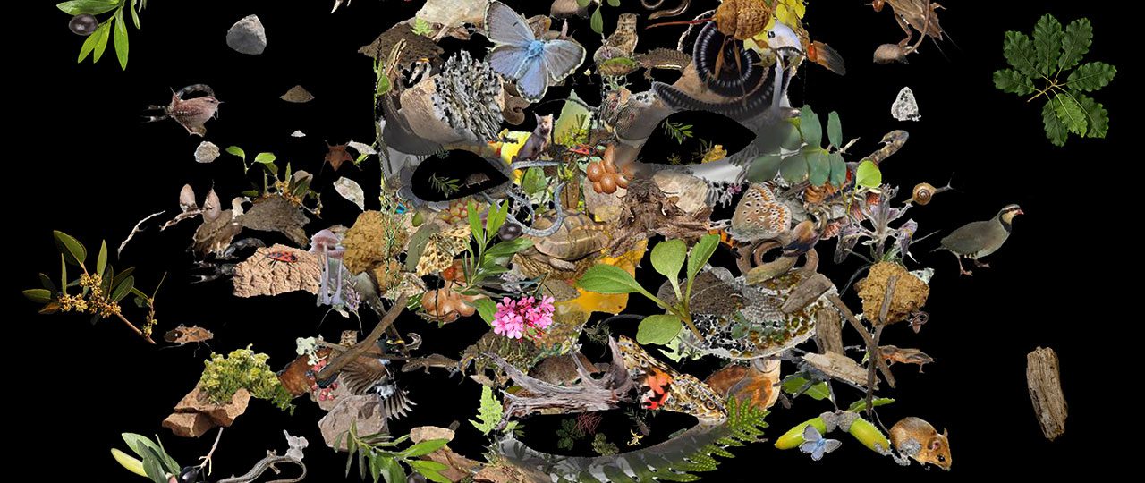 מישר וטרקסלר, ״תמיס״ במוזיאון חיפה