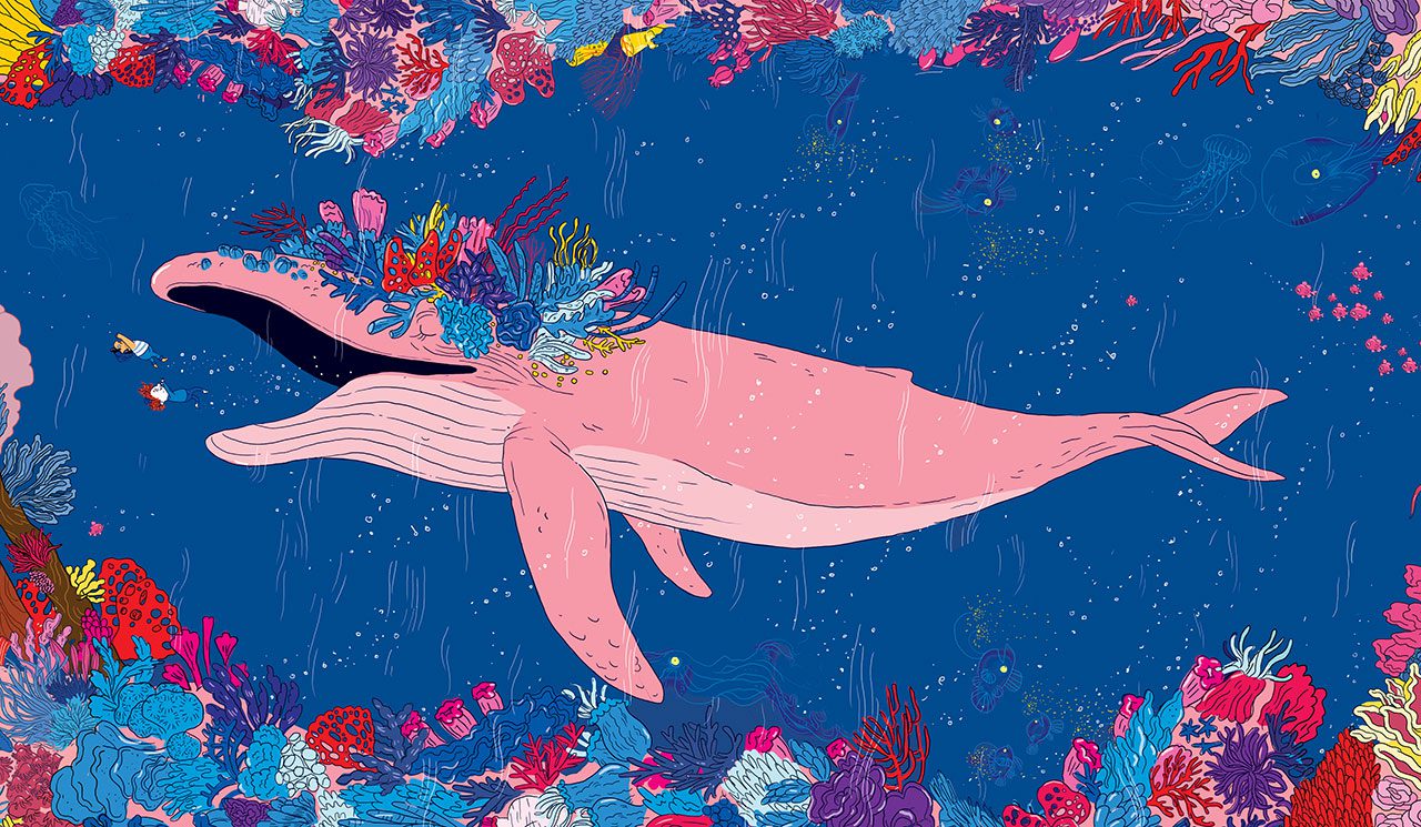 עינת צרפתי, צרות בצרורות, הוצאת כתר