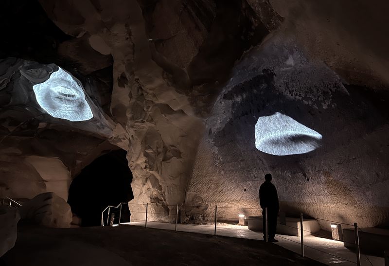 דור זליכה לוי. צילומים: נדב פורת חומסקי