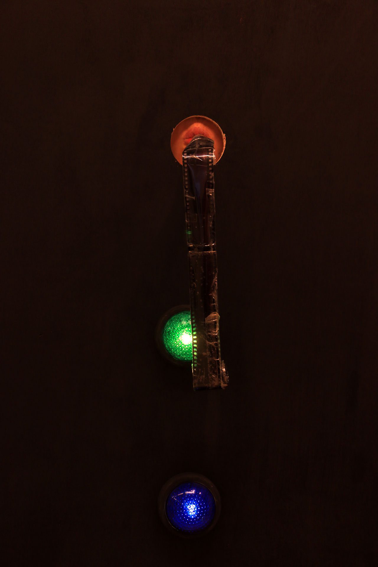 צילומים: ענבל אפרייט