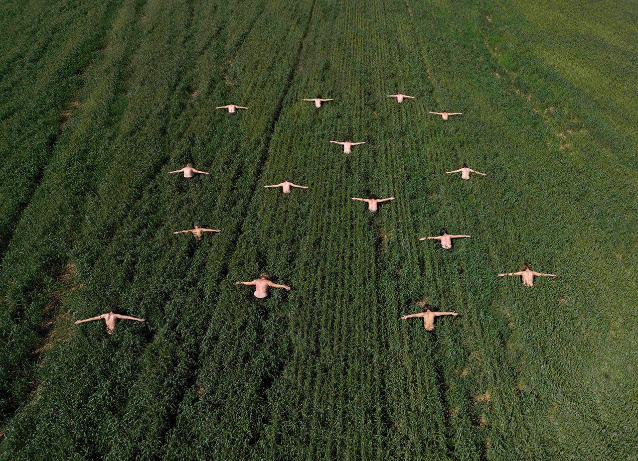 שגית זלוף נמיר, מטס
