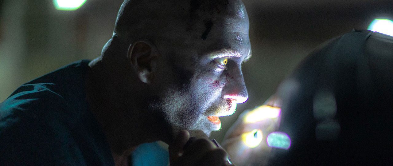 המוזיאון הישראלי לאפוקליפסת הזומבים. צילום: אייל רדושיצקי