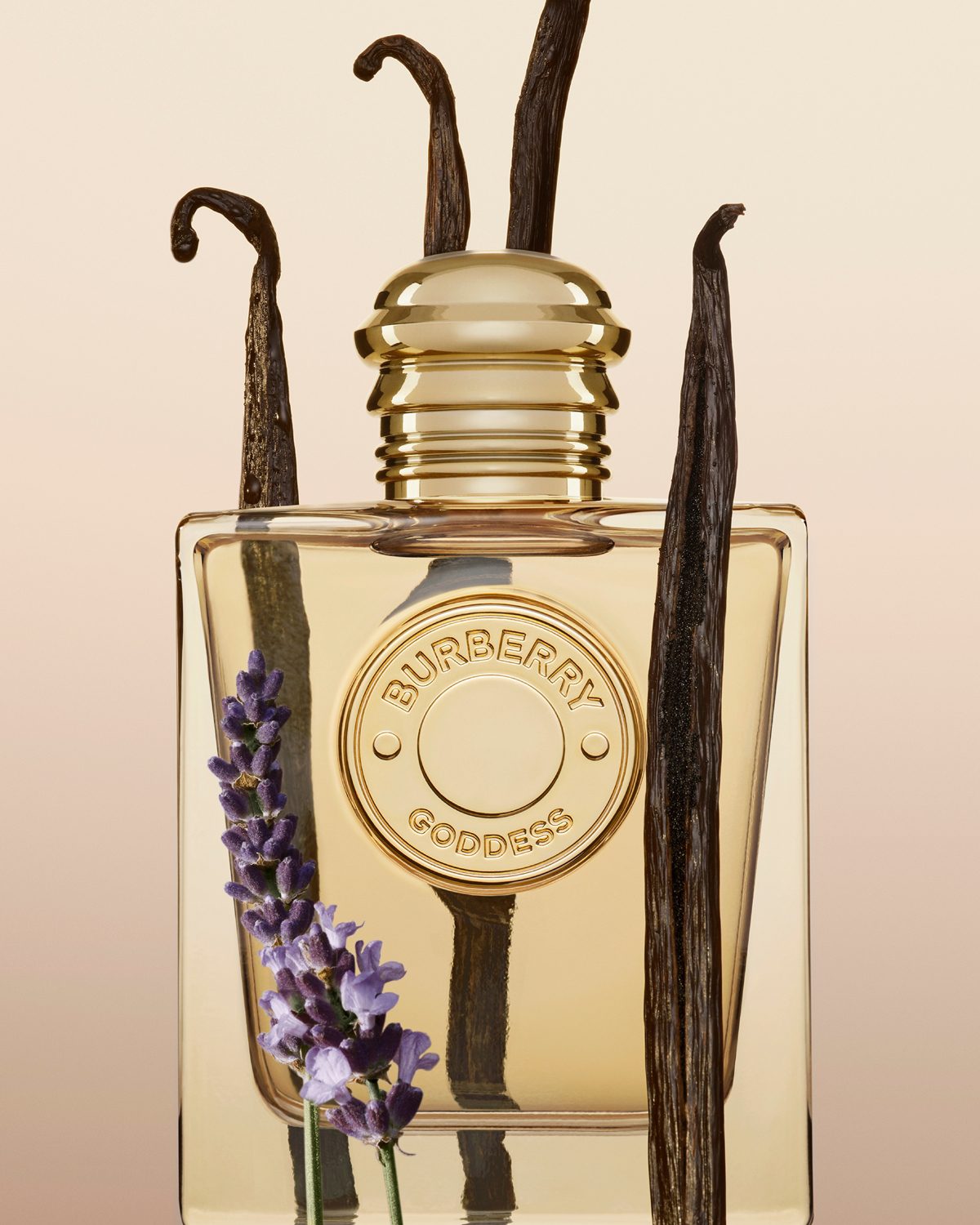 ברברי גודס. צילום: מל