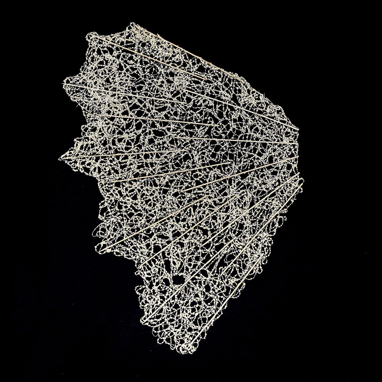 זיוה בן ערב, כנף. צילום: עופר בלנק