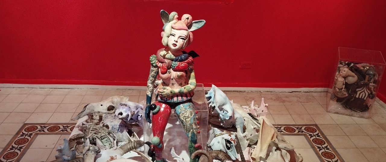 ליאור קסם חממה. צילומים: מל