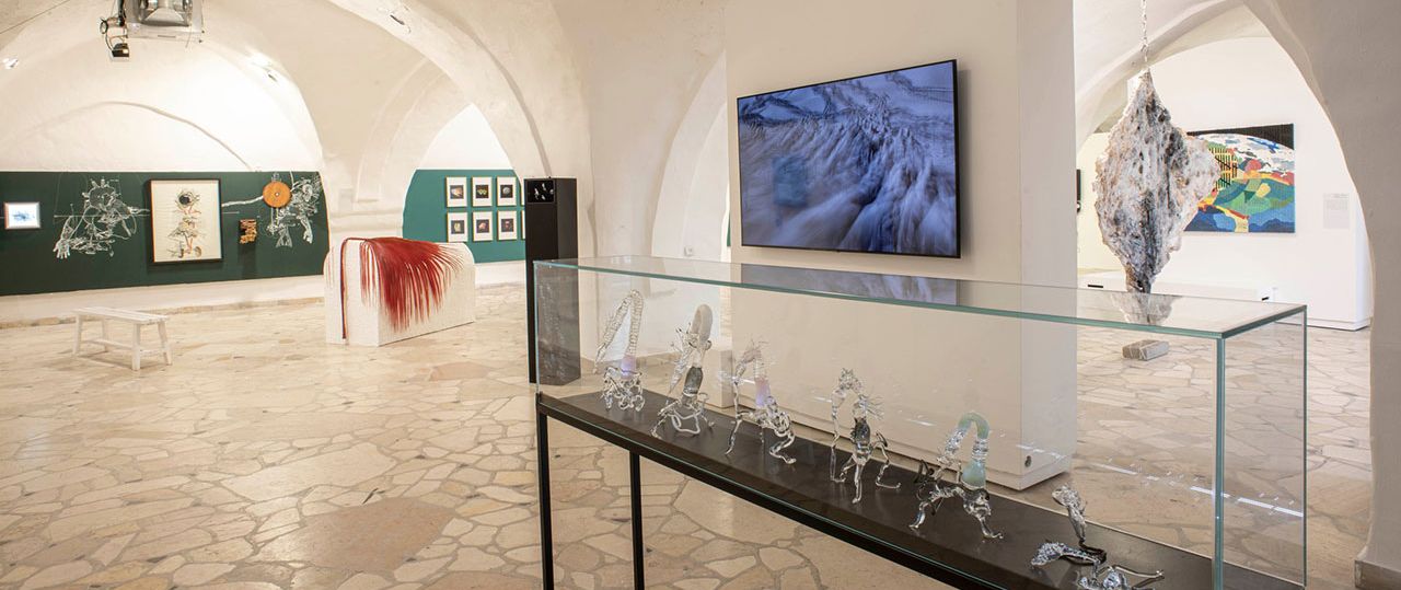 התערוכה הפראה. צילום מראה הצבה: יובל חן