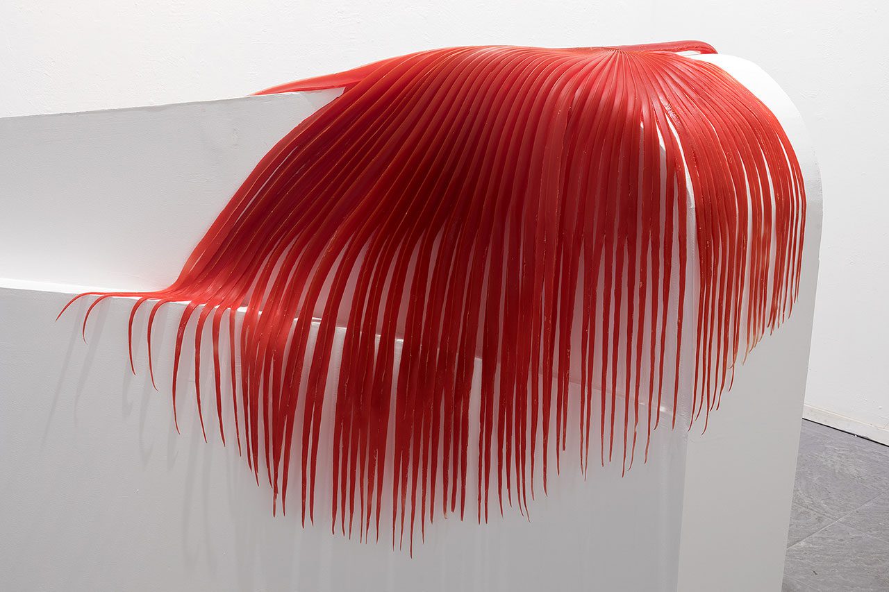 סיוון נשרי, וושינגטוניה; מתוך תערוכת הגמר הפראה. צילום: אלעד שריג