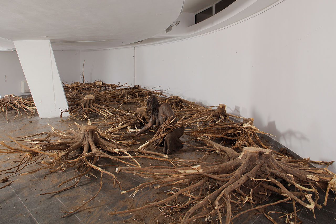 שרון גלזברג