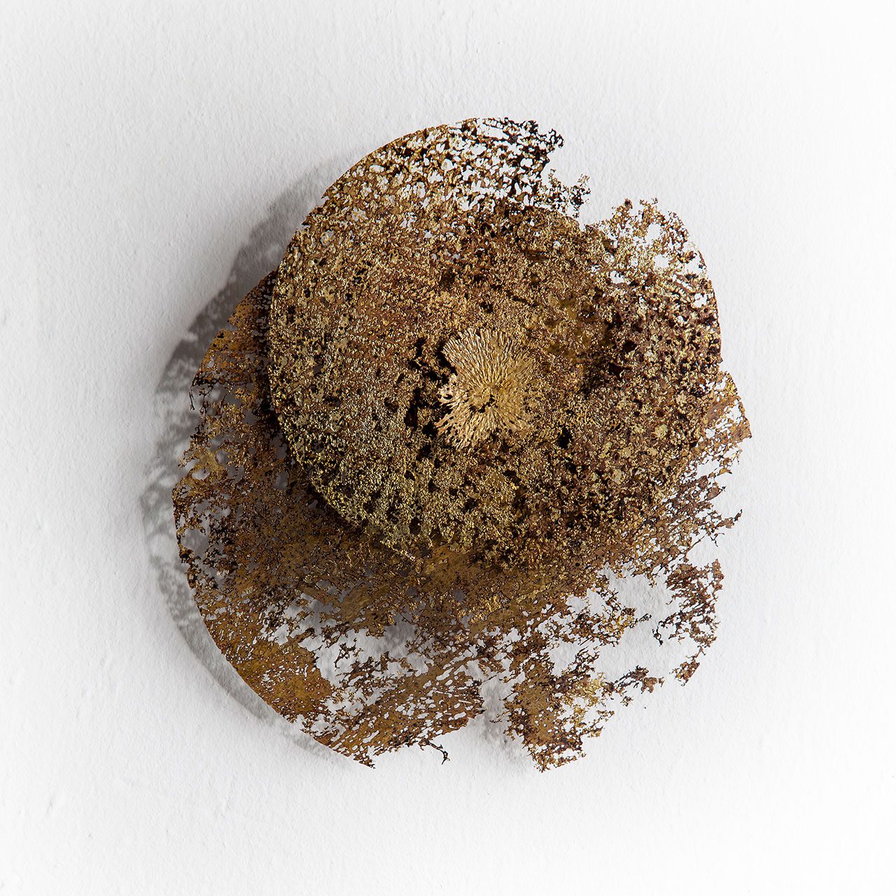 התרה, גלריה פריסקופ, 2013. צילומים: יואב גרין