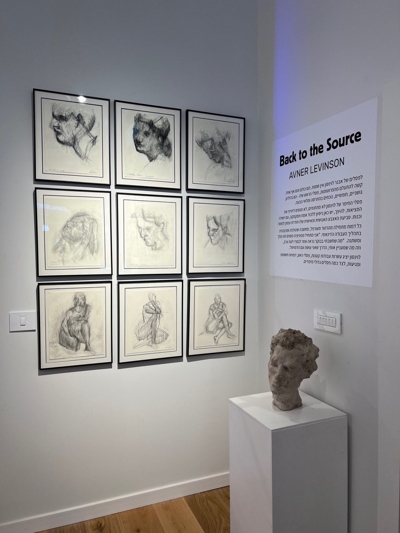 אבנר לוינסון