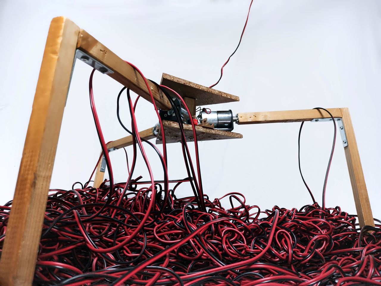 טרריום. צילום: מ"ל