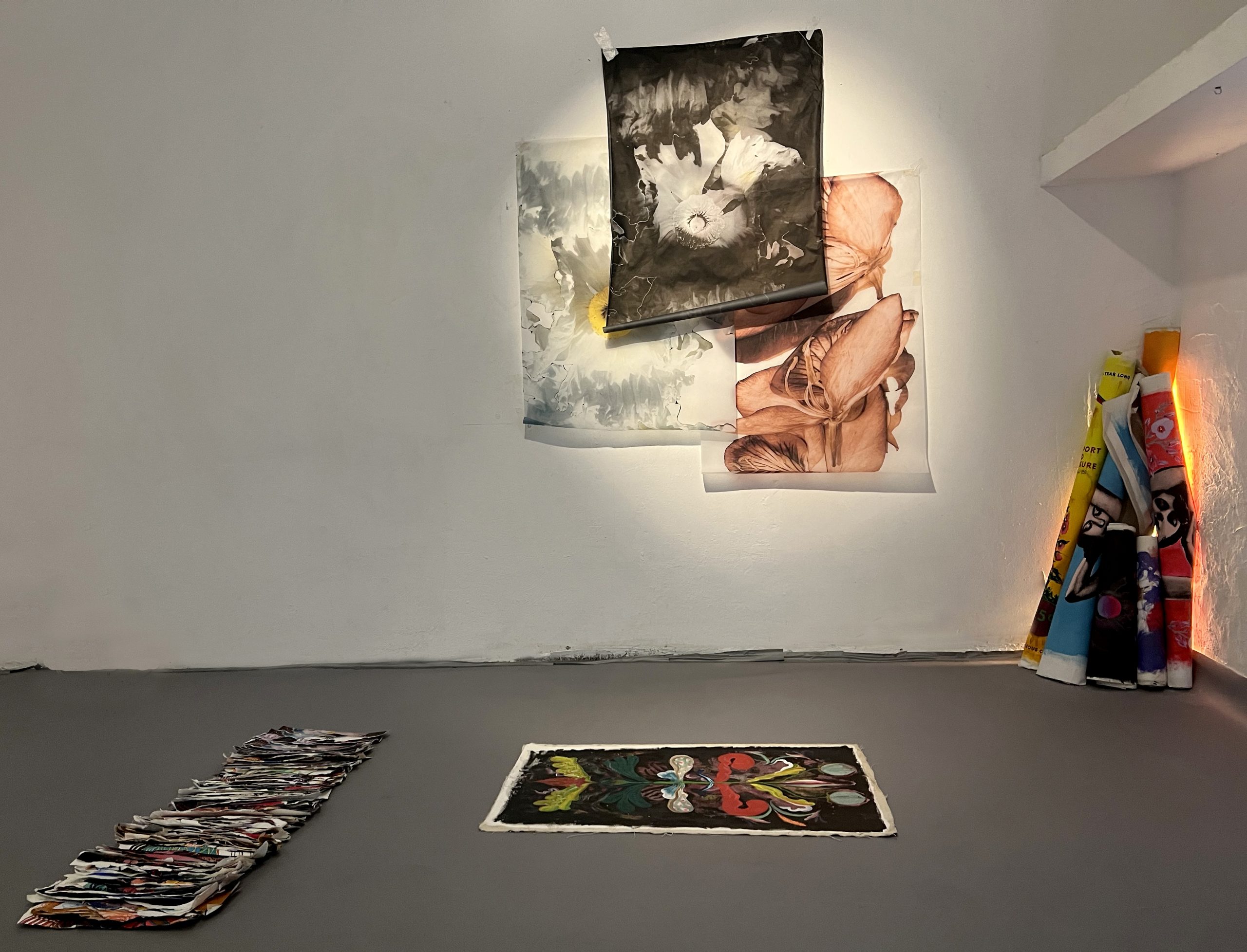 יהונתן ריינר. צילומים: טל שחר