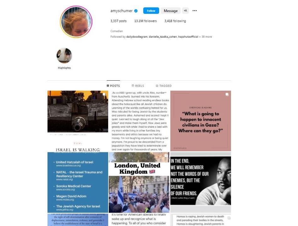 איימי שומר, אינסטגרם. צילום מסך