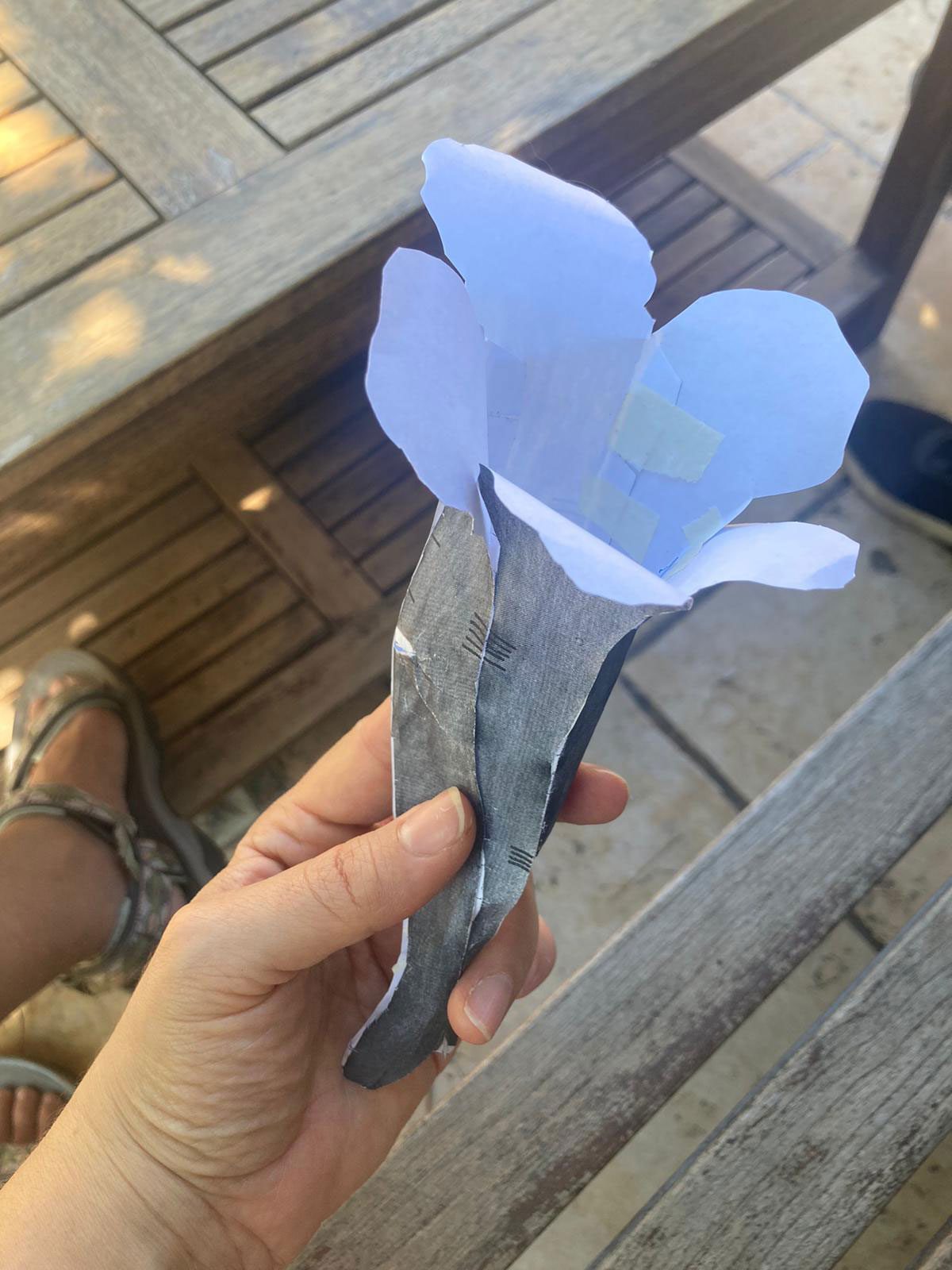 נטלי אילון. צילום: מ״ל