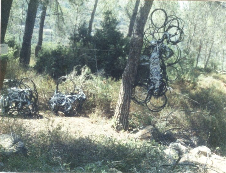 שושנה כרסנתי, פאן. עבודה שהוצגה במוזיאון ישראל