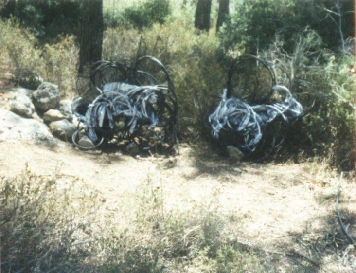 שושנה כרסנתי, פאן. שושנה כרסנתי, פאן. עבודה שהוצגה במוזיאון ישראל (צילומים: מ״ל)