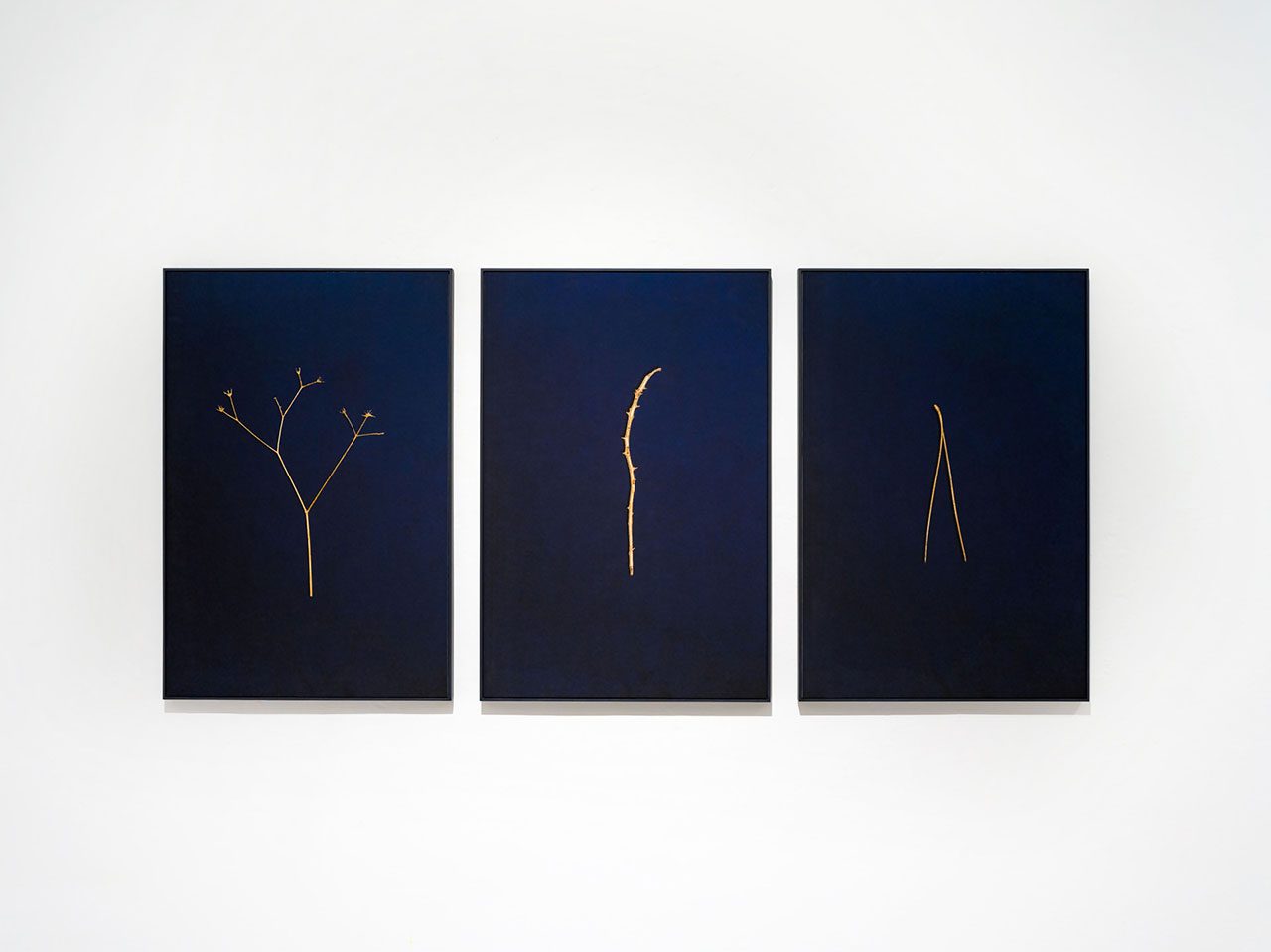 סופי ברזון מקאיי בתערוכה ״האם ייתכנו הדברים?״. צילום: רע בן דוד