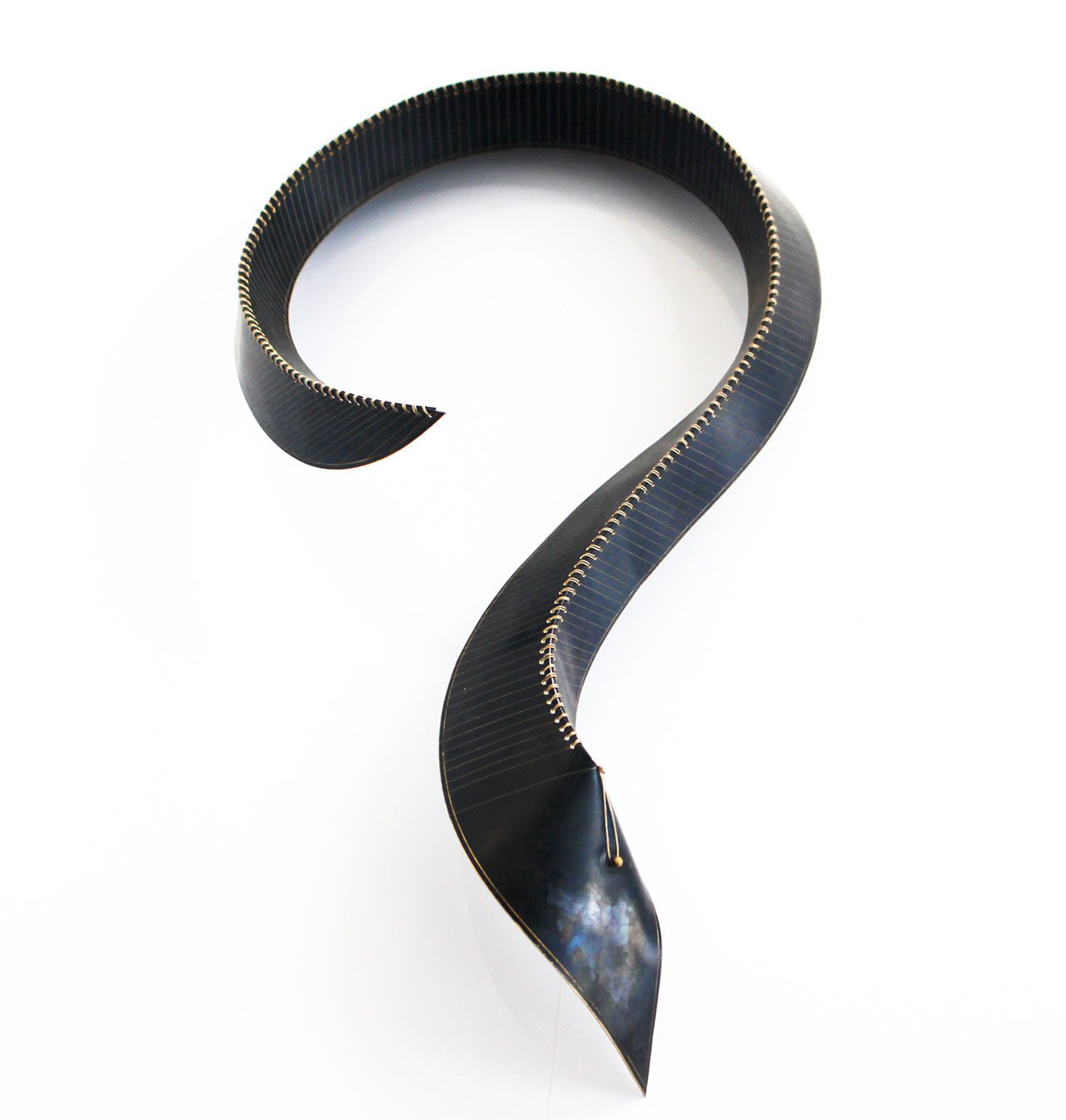 עומר אדר, Anthropsoft. צילום: מ״ל