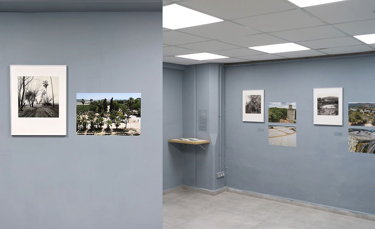 פראנס לבה נדב ותומר אפלבאום. צילום: רע בן דוד