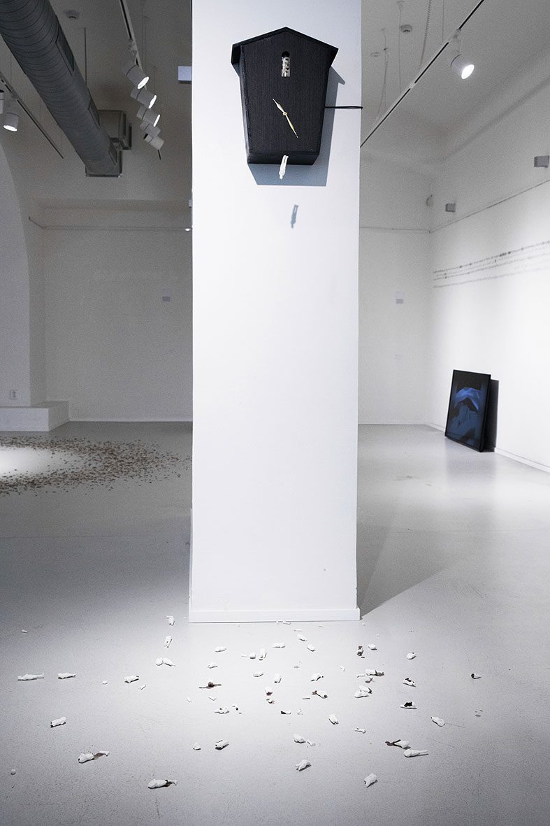 שעון קוקיית המתאבדים. צילום: מרטינה הולנובה