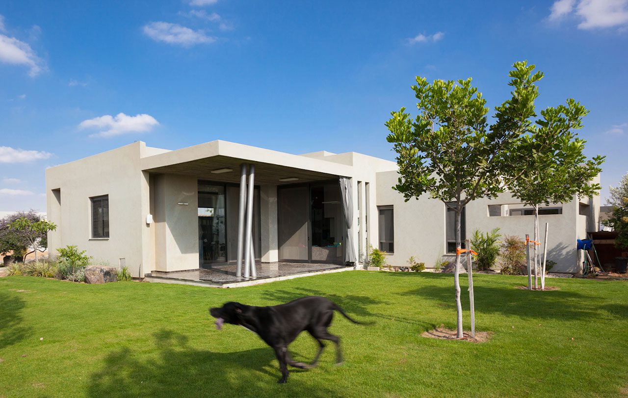 צילום: אורי אקרמן