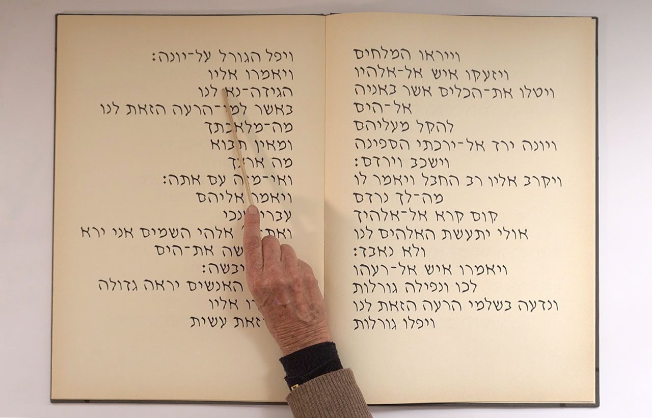 הדסה גולדויכט, קו נקודה (יונה), מיצב וידאו וסאונד