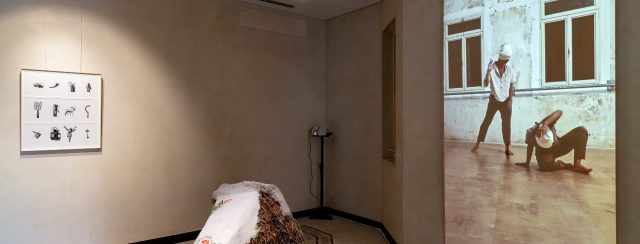 ארובת עין במרכז אדמונד דה רוטשילד. צילומים: דניאל חנוך