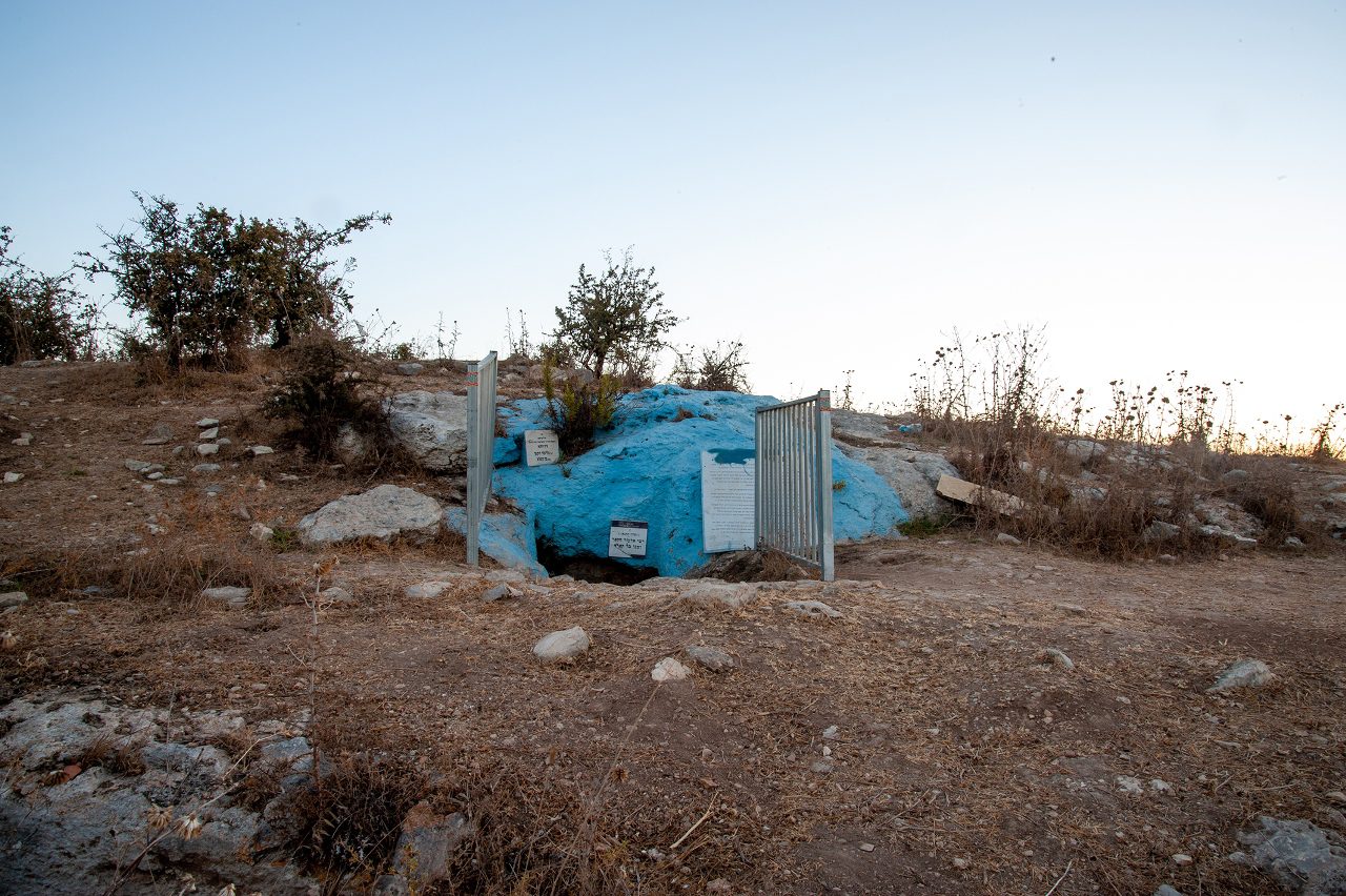 חני קריסטל