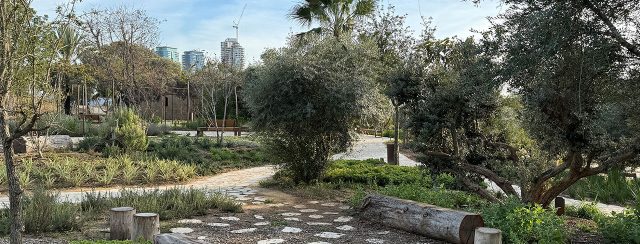 בוסתן מוז״א. צילומים: סטודיו אורבנוף