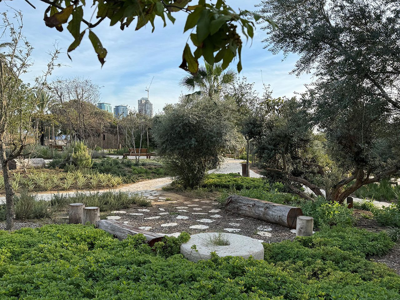 בוסתן מוז״א. צילומים: סטודיו אורבנוף